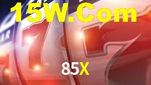 Daily Bonuses 85X